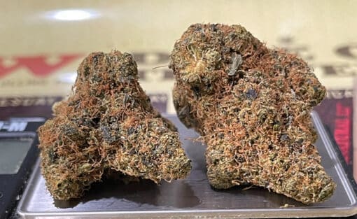 PANAMA RED3.5g SATIVA 🔥🔥29%THC - Image 6