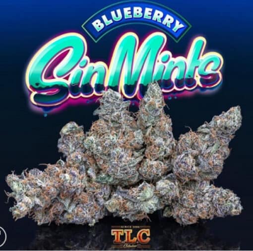 BLUEBERRY SIN MINTS3.5JUNGLE BOY NEW 🔥🔥 - Image 2