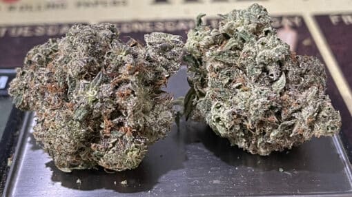 FUGAZI BY GOOD PIZZA 3.5g HYBRID INDOOR - Image 5