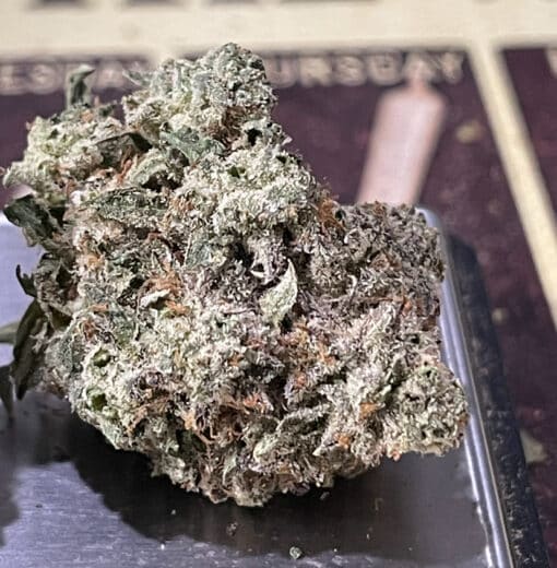 FUGAZI BY GOOD PIZZA 3.5g HYBRID INDOOR