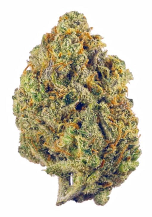 Super Silver Haze 3.5 grams Sativa 36%THC 🔥🔥 - Image 7