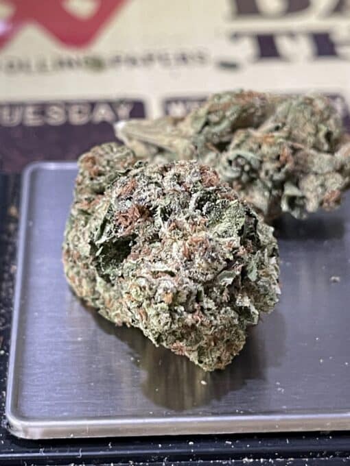 BIRTHDAY CAKE28gOZ HYBRID on SALE $120 - Image 3