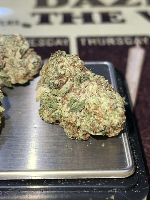 BIRTHDAY CAKE28gOZ HYBRID on SALE $120 - Image 5