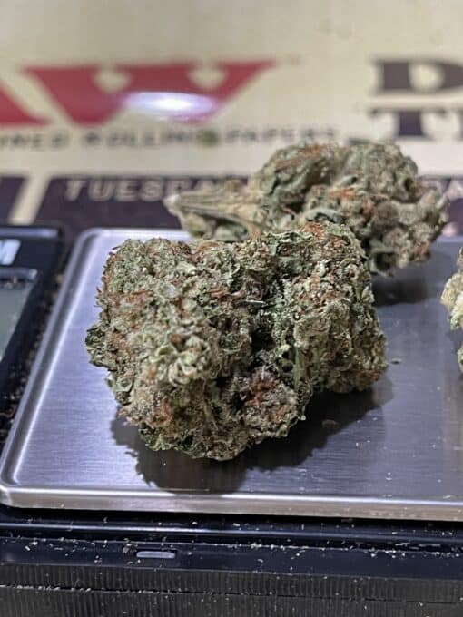 BIRTHDAY CAKE28gOZ HYBRID on SALE $120 - Image 7