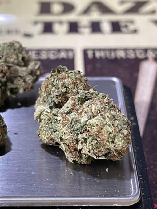 BIRTHDAY CAKE28gOZ HYBRID on SALE $120