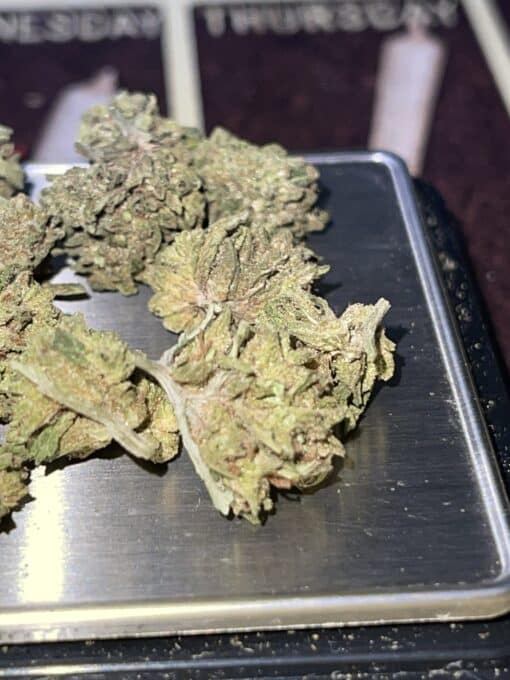 Chocolope 28gOZ ON SALE $100 SATIVA 🔥🔥SMALL NUGS