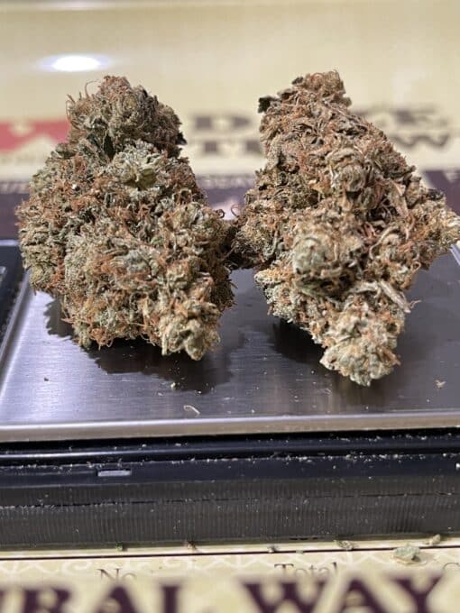 BAMBINO3.5g HYBRID INDOOR 26.5%THC - Image 8