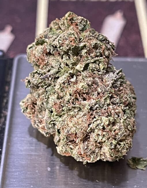 TROPICANA 28g OZ SATIVA ON SALE $120 - Image 2