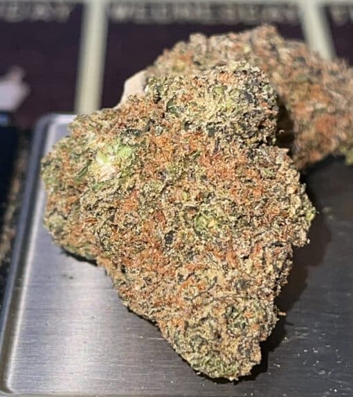 TROPICAL RUNTZ 3.5g HYBRID 26%THC - Sativa Dominant - Image 2