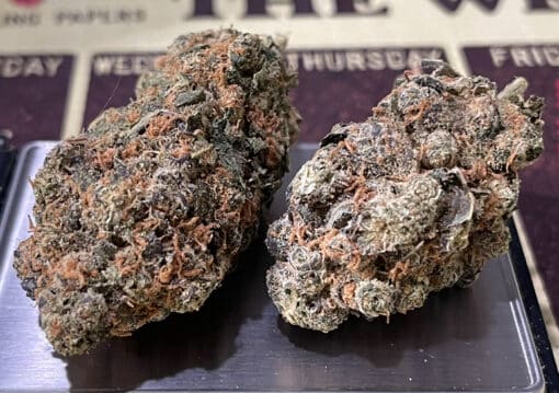 SANTA CRUZ BLUBERRY HAZE28g OZ SATIVA 🔥🔥🔥 - Image 6
