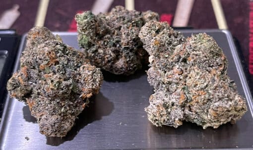 GOTTI 3.5g INDICA 32% THC EXOTICS ON SALE 🔥🔥 - Image 2
