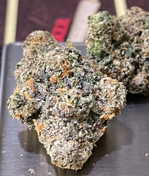 GOTTI 3.5g INDICA 32% THC EXOTICS ON SALE 🔥🔥 - Image 3