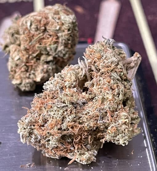 CREASE MONKEY INDICA 3.5g INDOOR - Image 2