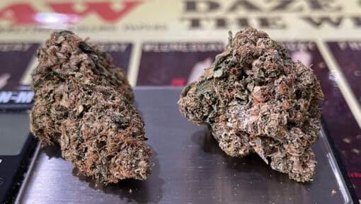 SHERBERT INDOOR HYBRID 3.5g 🔥🔥ON SALE