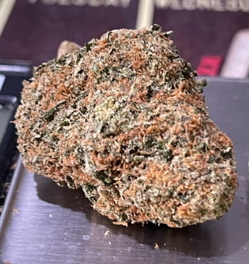 Guava 3.5g SATIVA INDOOR 🔥🔥