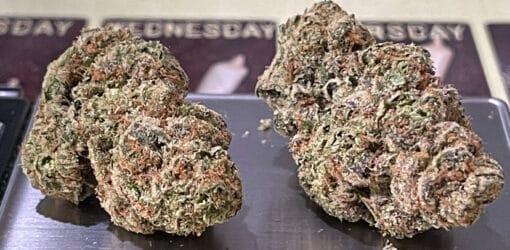 PINK RUNTZ  28g OZ ON SALE HYBRID 🔥🔥27%THC - Image 2