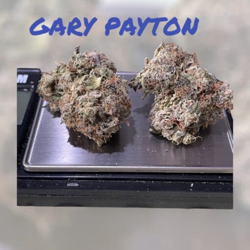 GARY PAYTON 28g OZ ON SALE HYBRID INDOOR 🔥🔥28%THC