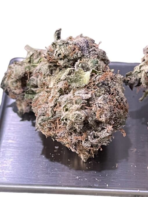 GARY PAYTON 28g OZ ON SALE HYBRID INDOOR 🔥🔥28%THC - Image 2