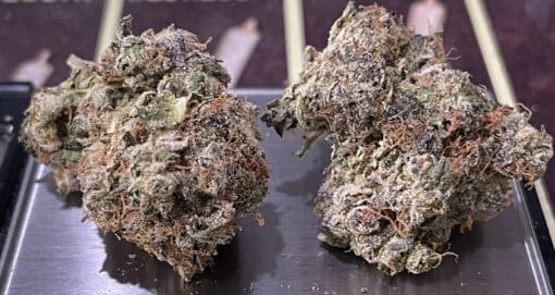 GARY PAYTON 28g OZ ON SALE HYBRID INDOOR 🔥🔥28%THC - Image 3