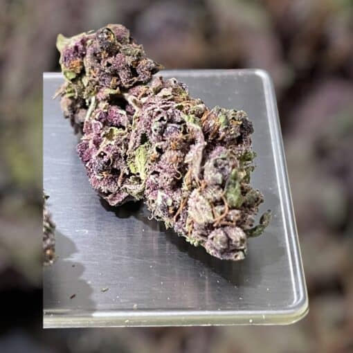 Purple haze 28g SATIVA OZ ON SALE🔥🔥26%THC - Image 2