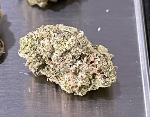 SUPER SILVER HAZE 28g SATIVA EXOTICS MEDIUM NUGS 🔥🔥 - Image 2