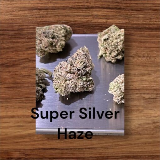 SUPER SILVER HAZE 28g SATIVA EXOTICS MEDIUM NUGS 🔥🔥