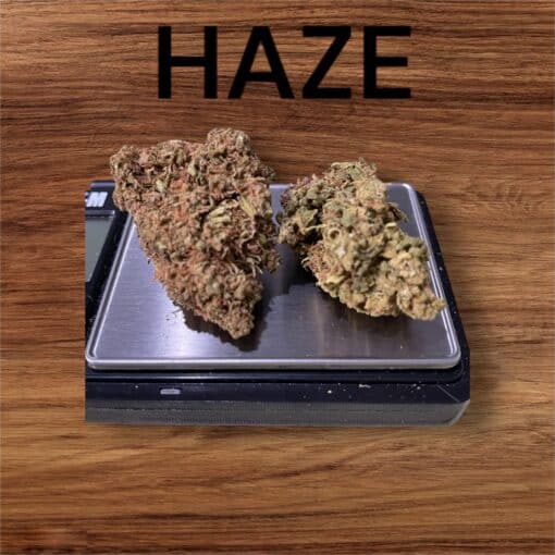 HAZE 28g ON SALE SATIVA OUNCE 24% THC