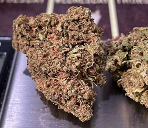 HAZE 28g ON SALE SATIVA OUNCE 24% THC - Image 2
