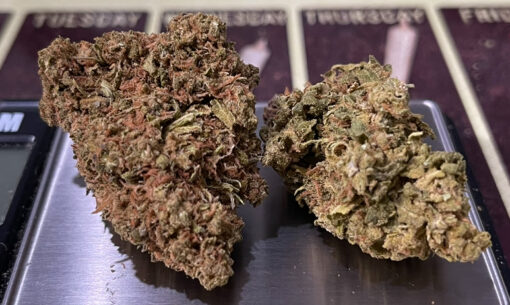 HAZE 28g ON SALE SATIVA OUNCE 24% THC - Image 4