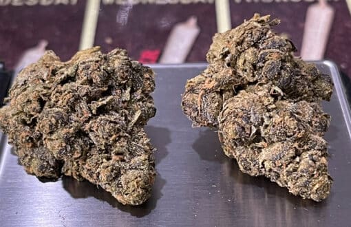 APPLE FRITTER x RUNTZ 3.5g INDOOR HYBRID 28% THC 🔥🔥 - Image 3