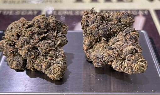 APPLE FRITTER x RUNTZ 3.5g INDOOR HYBRID 28% THC 🔥🔥 - Image 6