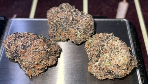 COLD HEAT 3.5g HYBRID EXOTICS ON SALE 35%THC 🔥🔥WATSON SUPPLY - Image 5