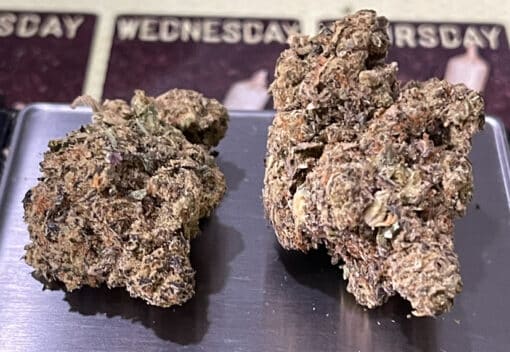 STUDIO54 3.5g HYBRID INDOOR ON SALE 24%THC - Image 2