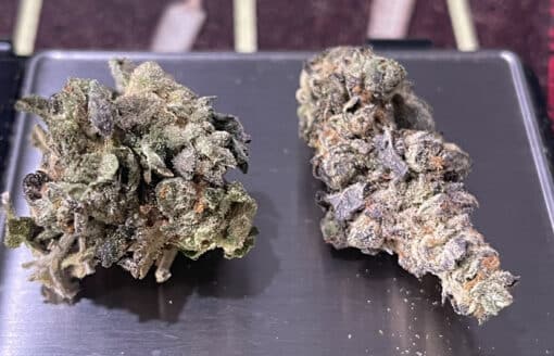 SHERBMINTS 28g INDOOR (Small Nugs) 26%THC 🔥🔥ON SALE INDICA - Image 4