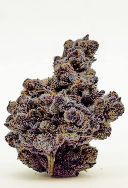 PASSION IVY 3.5g (LUMPYS) HYBRID - Image 3