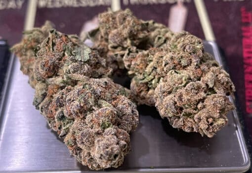 MIMOSA 28g SATIVA on SALE 24%THC 🔥🔥 - Image 4