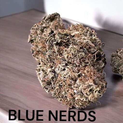 BLUE NERDS 3.5 HYBRID 27% INDOOR