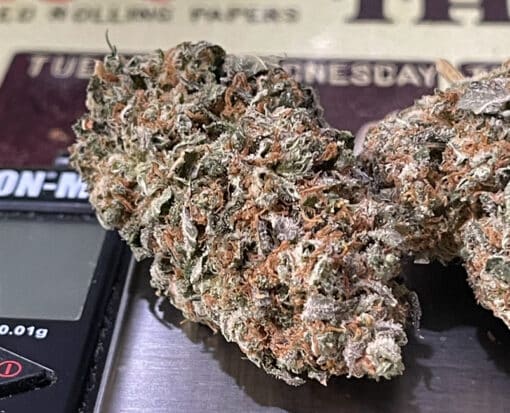 BLUE NERDS 3.5 HYBRID 27% INDOOR - Image 6