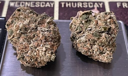 TIRAMISU3.5g INDICA INDOOR 🔥🔥28%THC - Image 2
