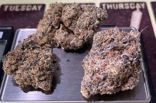 BISCOTTI RUNTZ 3.5g 27%THC HYBRID 🔥🔥 - Image 2