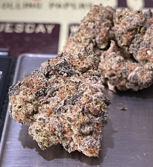 BISCOTTI RUNTZ 3.5g 27%THC HYBRID 🔥🔥 - Image 4