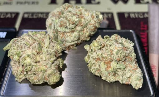 VERSACE COOKIES 3.5g SATIVA INdOOR 27%THC NEW BATCH 🔥 - Image 4