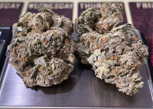 BLUE CHEESE 3.5g INDICA 27% INDOOR 🔥🔥NEW batch - Image 2