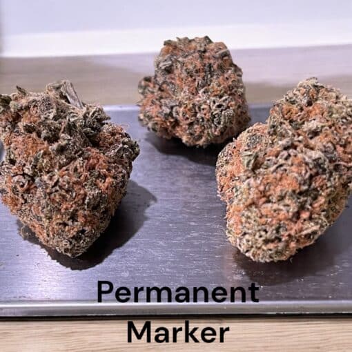 PERMANENT MARKER 3.5g INDICA INDOOR  30% THC