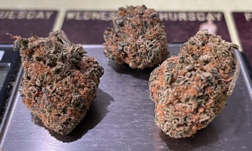 PERMANENT MARKER 3.5g INDICA INDOOR  30% THC - Image 3