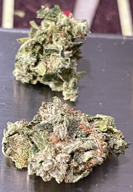 BLUE TUNA KUSH 28g oz ON SALE INDICA 26%THC INDOOR SMALLER NUGS 🔥🔥 - Image 2