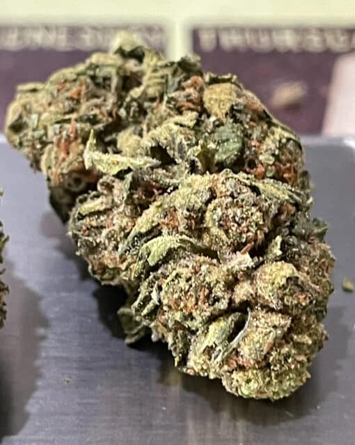 BOLO RUNTZ 28g INDICA ON SALE 27%THC INDOOR 🔥🔥 - Image 5