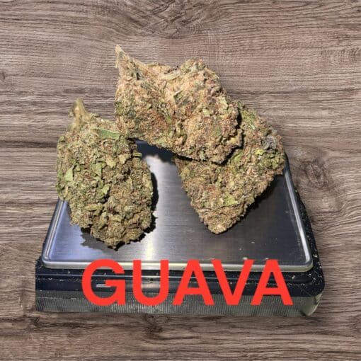 GUAVA28gOZ ON SALE SATIVA 25%THC 🔥🔥