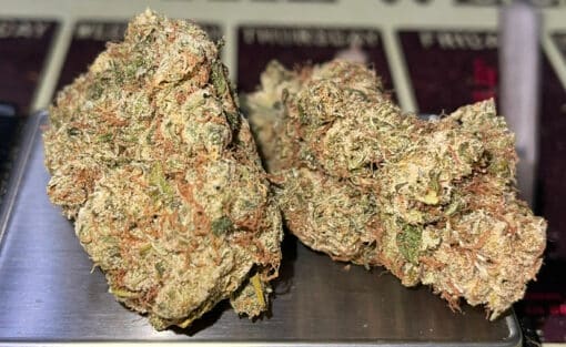 NORTHERN LIGHTS # 5 x HAZE 28GRAMS OZ ON SALE 🏆🏆🏆 RARE EXOTICS 36%THC LIMITED BATCH - Image 6