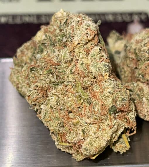NORTHERN LIGHTS # 5 x HAZE 28GRAMS OZ ON SALE 🏆🏆🏆 RARE EXOTICS 36%THC LIMITED BATCH - Image 7